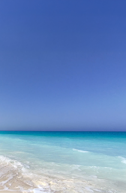 Katameya Coast Ras El Hekma Construction Updates- March 2025